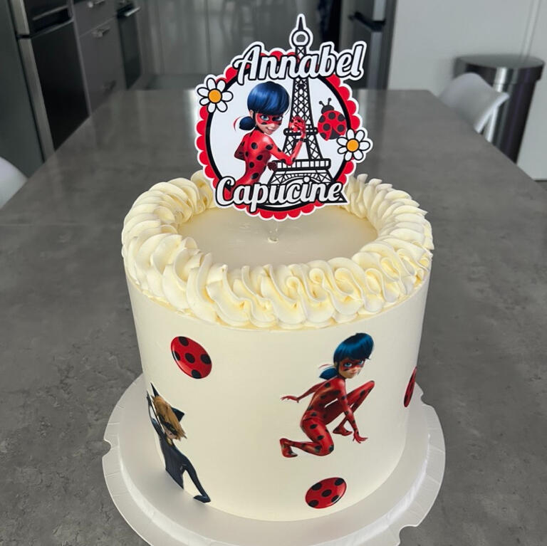 Layer cake Miraculous (25 parts)